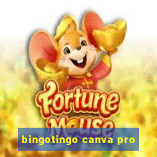 bingotingo canva pro